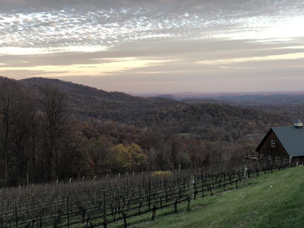 Chester Gap Cellars